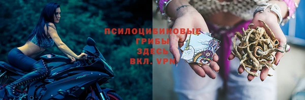 a pvp Армянск