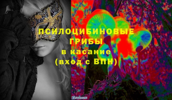 герыч Арсеньев
