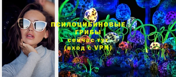 герыч Арсеньев