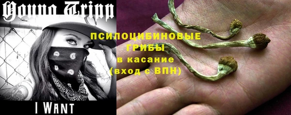 a pvp Армянск